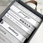 Organizador de Ropa Plegable